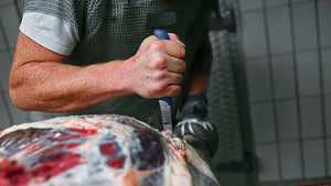 ExpertGrip