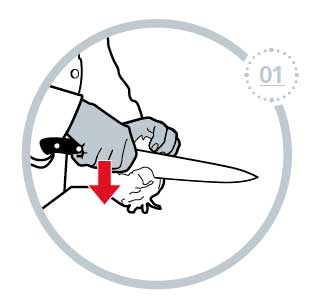 Horizontal Cutting