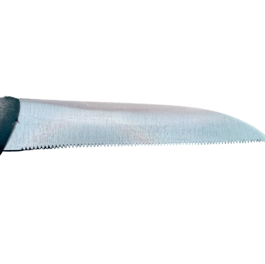 F.Dick 3-inch serrated paring knife blade close-up, high-carbon steel edge