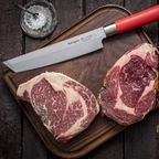F.Dick Red Spirit Tanto Knife 8.5" - Beautiful Chef Knife