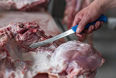 F.DICK ErgoGrip fish filleting knife with blue handle, used to cut fish on board